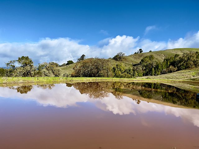 The pond full to the banks — clouds and oaks doubled on the still water, green hills rising behind under a blue sky.