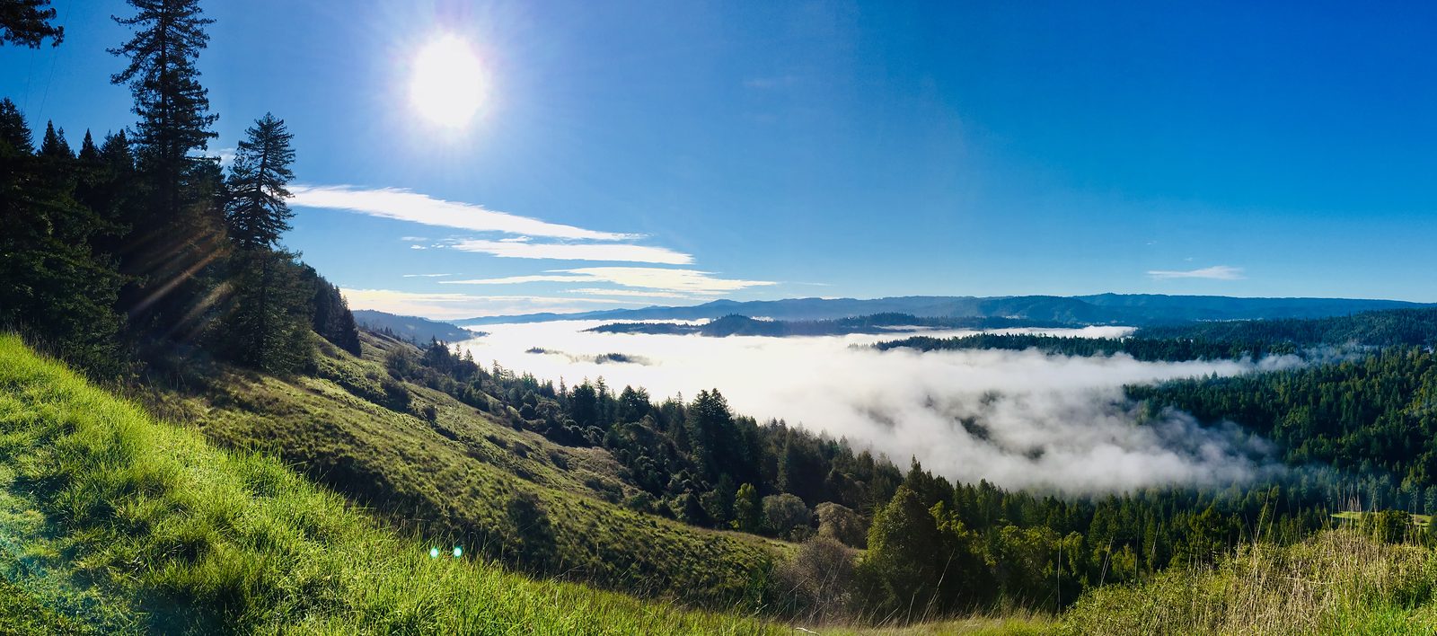 The sun above a river of fog in Anderson Valley, green hillside descending toward forested ridges.