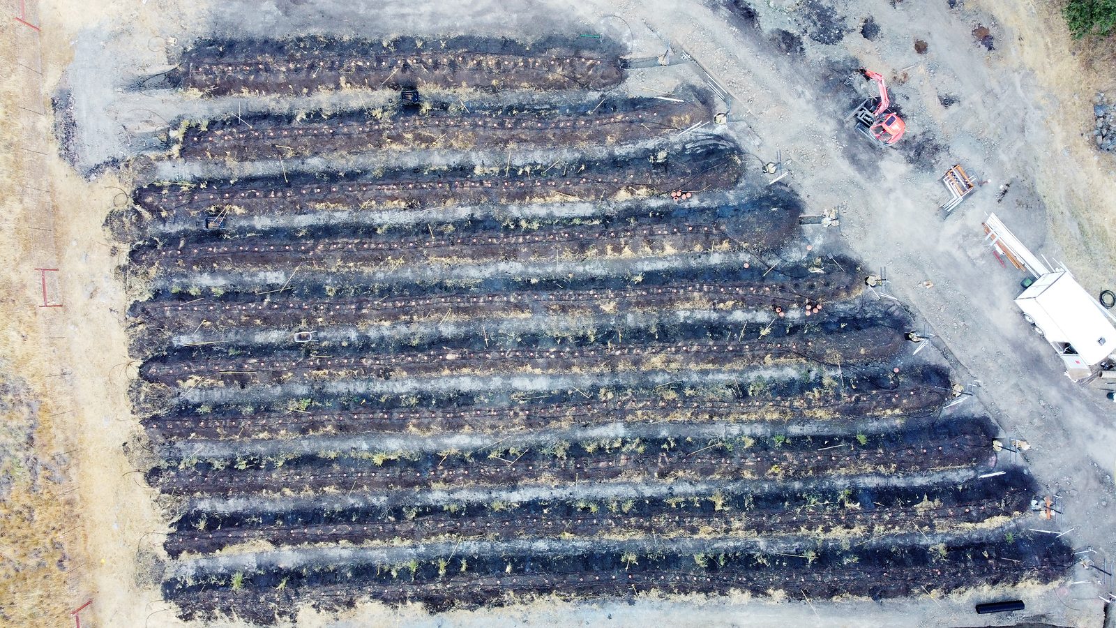 Drone view straight down onto dark hugelkultur rows running across a dry hillside, young plants along each ridge.