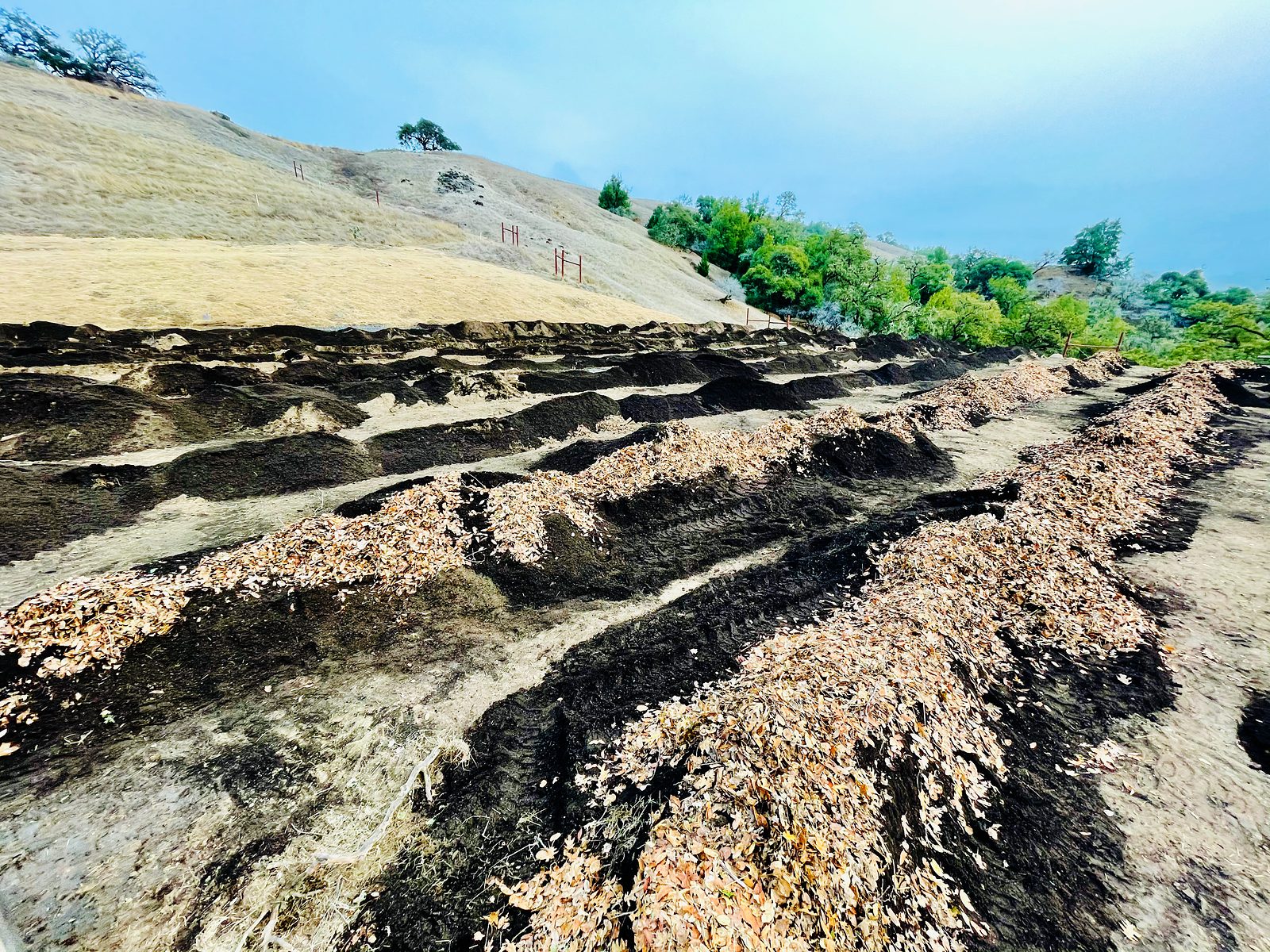 Ground-level view of the hugelkultur rows as dark soil and pale wood chips are layered over the buried trees, shaping the newly formed mounds.
