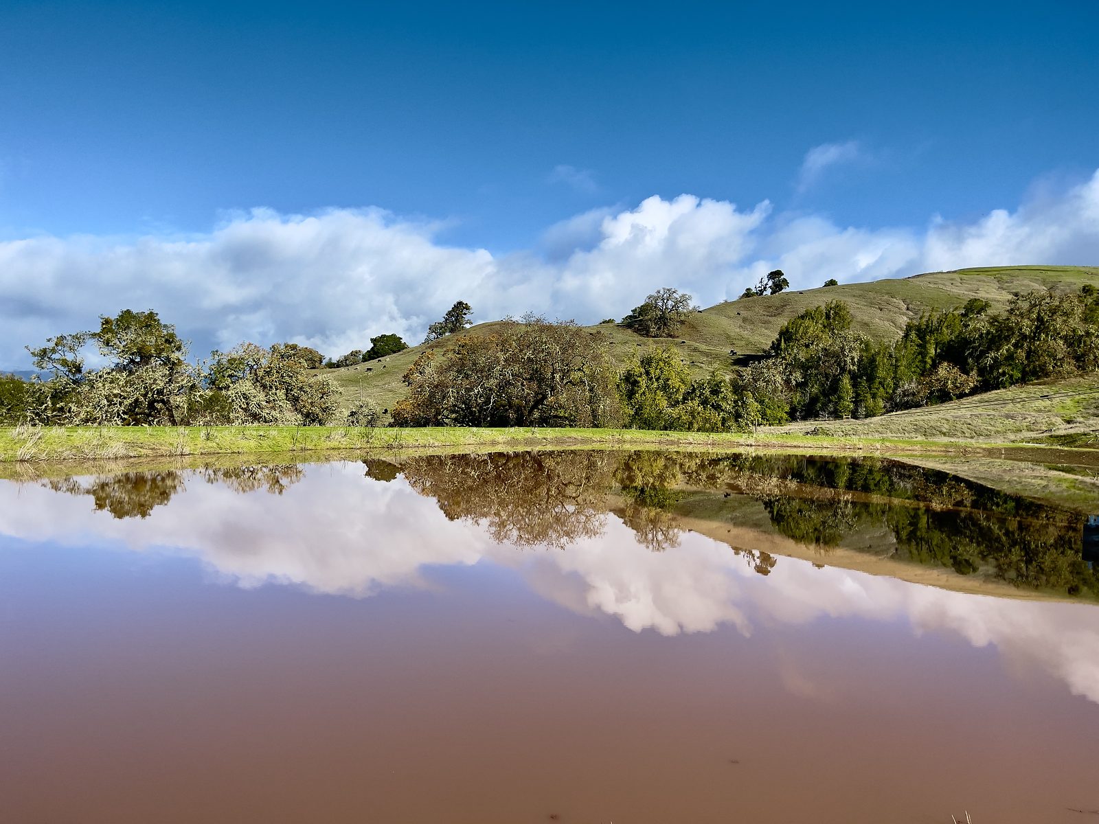 The pond full and still under a wide sky, clouds lying on the water as clearly as they sit above it.